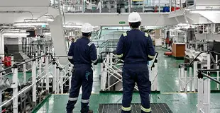 Survey & Inspection